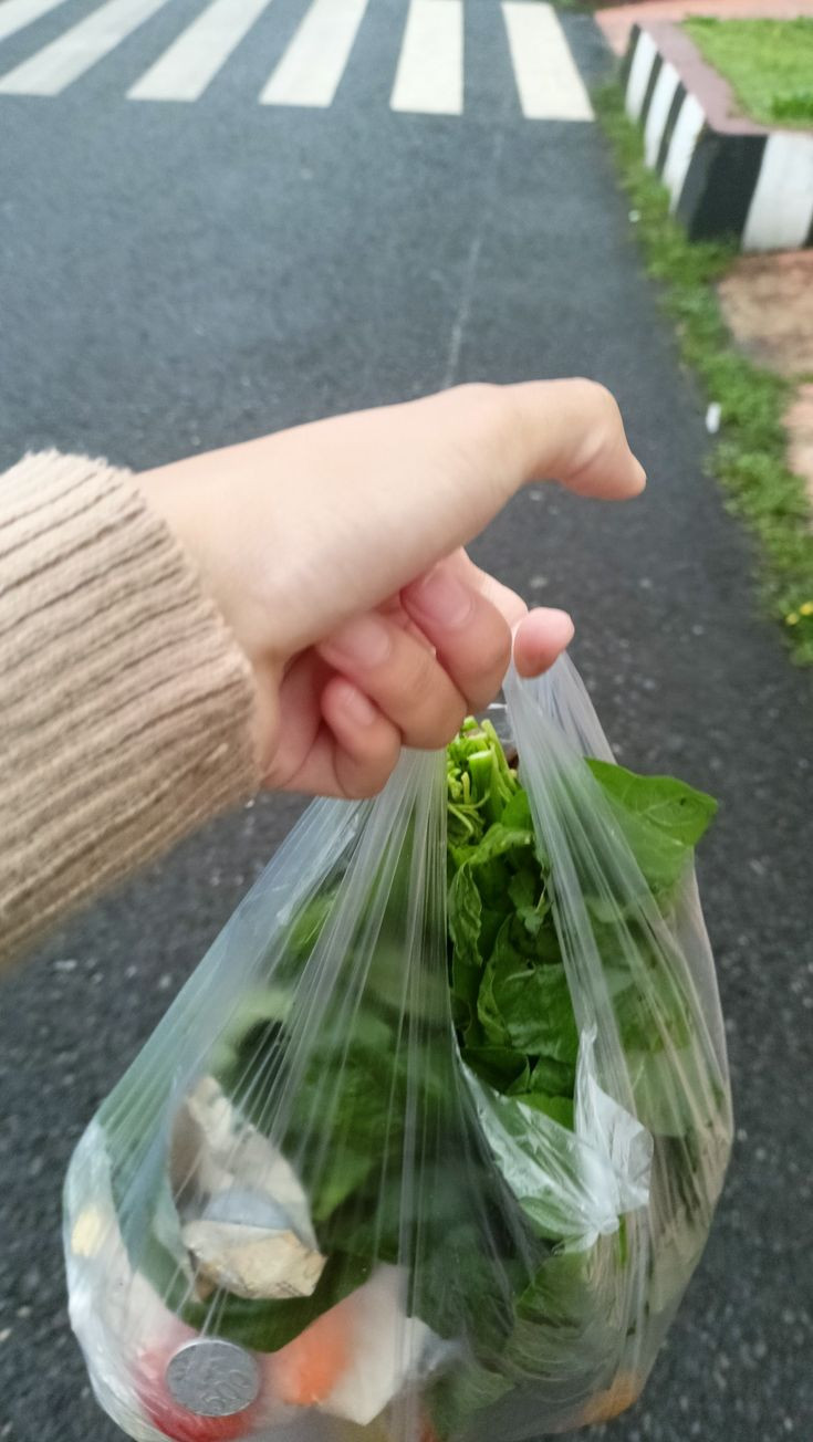 Cần tuyển 1 chị giúp việc cho nhà 2 người ở Tân Phú.