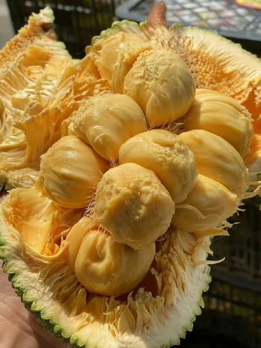 Tìm Người Chăm Bé - Lương Ổn Định